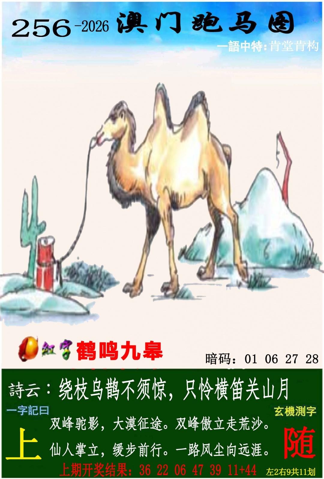 资料图 4 · 澳门跑马图