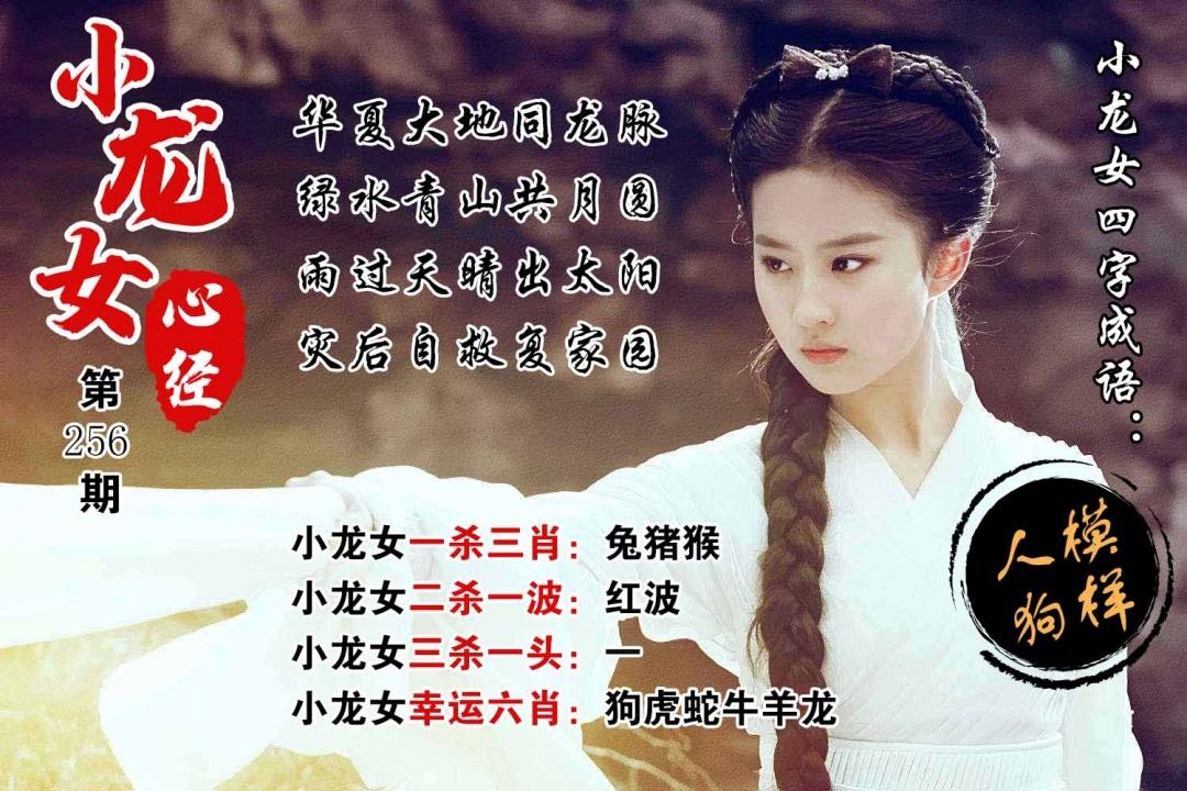 资料图 1 · 小龙女心经